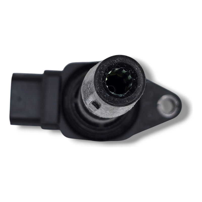 Bobina Renault Duster Kangoo 1.6 2 Pines 19-22 224336695r