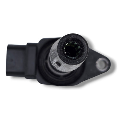 Bobina Renault Duster Kangoo 1.6 2 Pines 19-22 224336695r