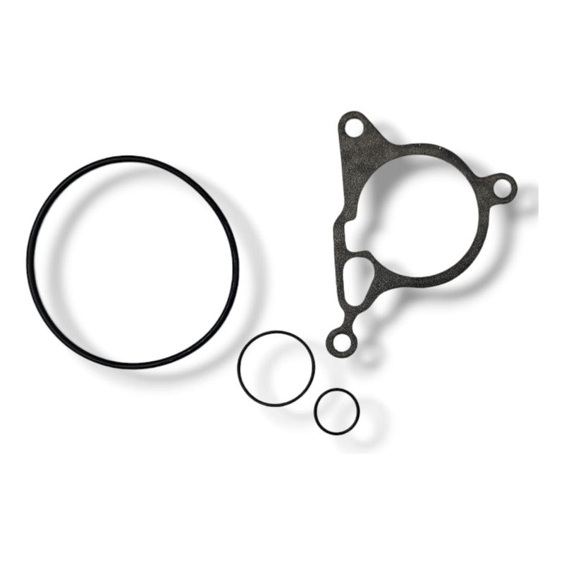 Kit De Sellos Bomba De Vacio Vw Beetle , Jetta , Audi Oem