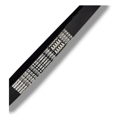 Banda Alternador C/a Nissan Versa, March 12/20 1.6l Original